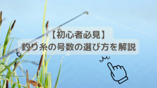 【初心者必見】釣り糸の号数の選び方を解説